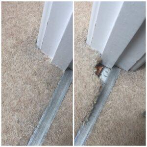 carpet repair service Exeter